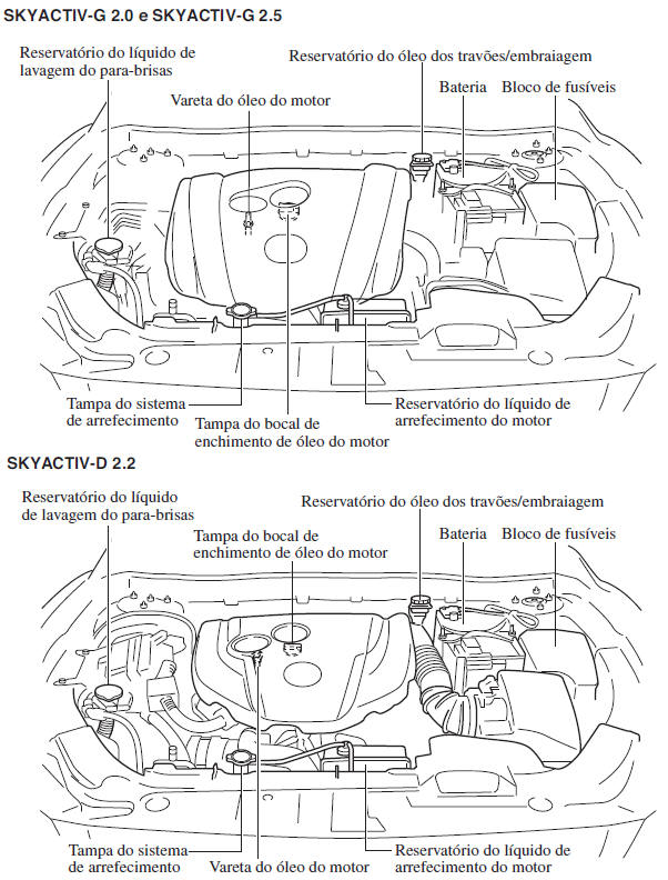 Descrição do Compartimento do Motor