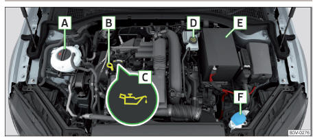 Fig. 319 Exemplo de disposição no compartimento do motor